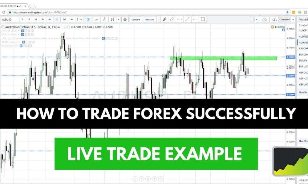 Right Forex Trading Course