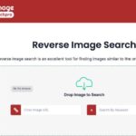 Bing Reverse Image Lookup No Longer Works