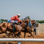 Online Horse Race Betting