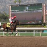Safest Payment Options for Horse Racing