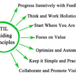 ITIL guiding principles