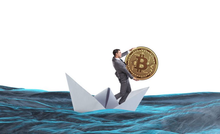 Bitcoin despite volatility