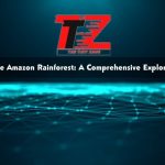 The Amazon Rainforest: A Comprehensive Exploration